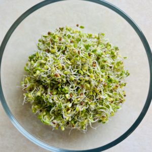 broccoli-sprouts