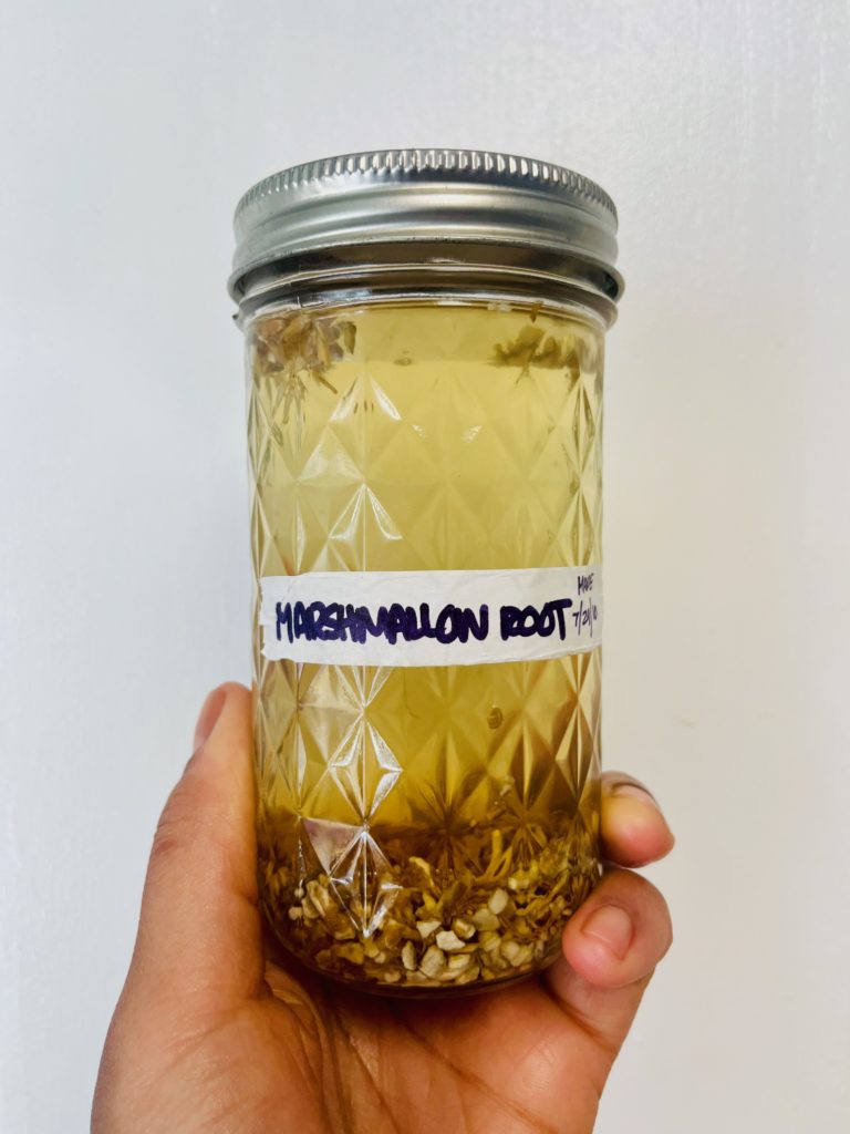 marshmallow-root